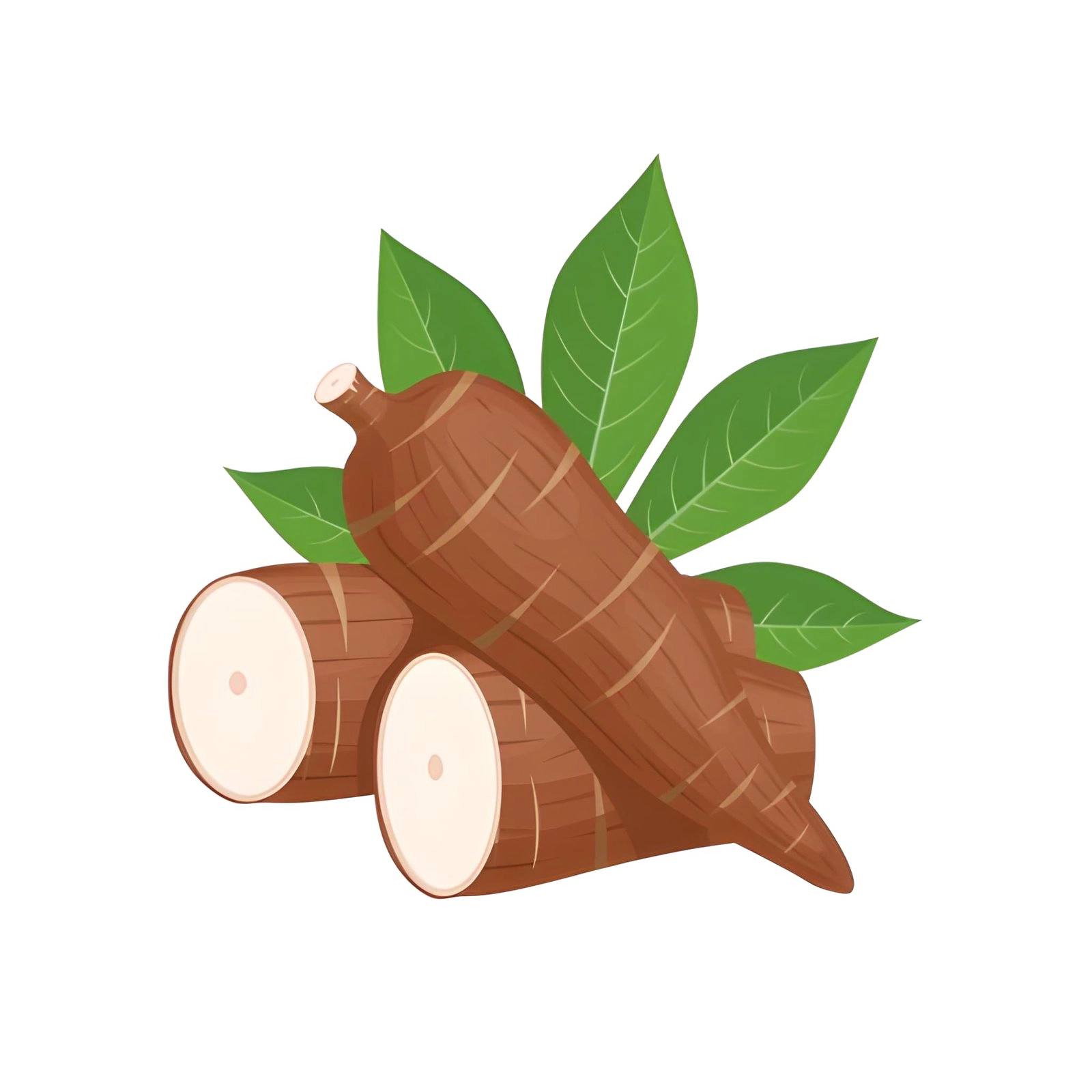 Ilustrasi singkong